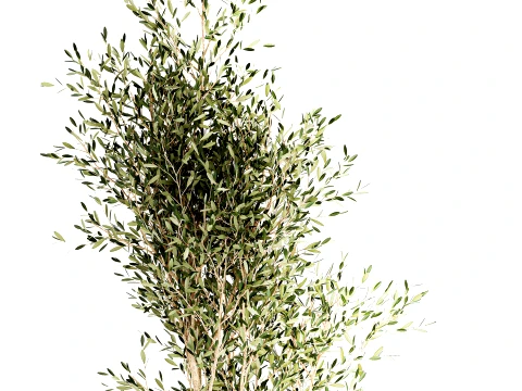 Beautiful small indoor olive tree white stone pot decor 3D Model