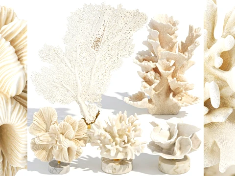 Estatuetas de decoração marinha conjunto de decoração de suporte de ventilador de coral branco Modelo 3D