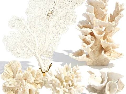 Marine decor figurines white coral fan stand decor set 3D Model