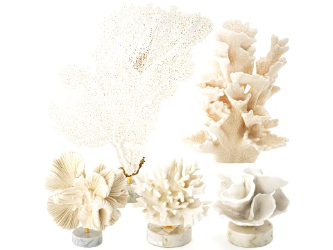 Marine decor figurines white coral fan stand decor set 3D Model