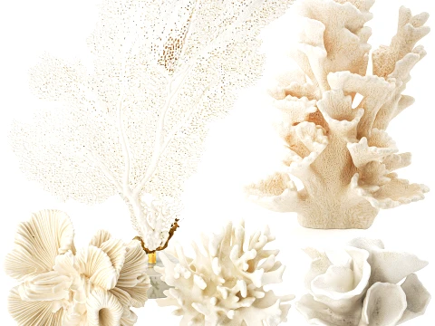 Marine decor figurines white coral fan stand decor set 3D Model