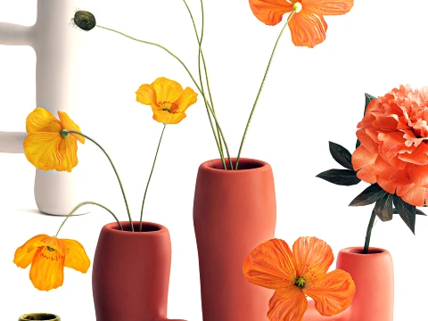 Bouquet lowers Italian ceramic vases poppy peony decor set 3D Model