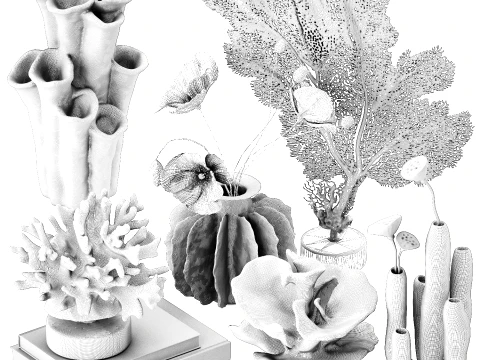 Marine decor figurines bouquet poppy lotus coral decor set 3D Model