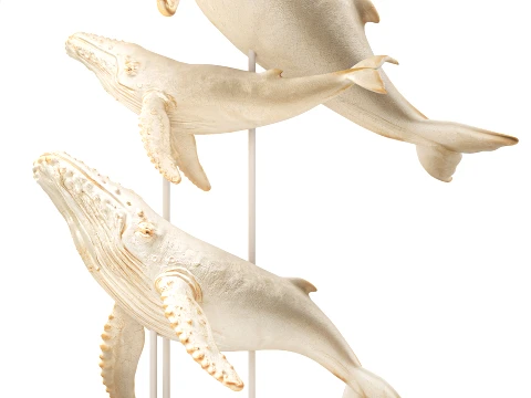 Marine White Set Figurines Whale Jellyfish Decor top new 3D Model