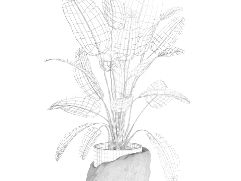 Banana palm white stone pot Strelitzia bush decor 3D Model