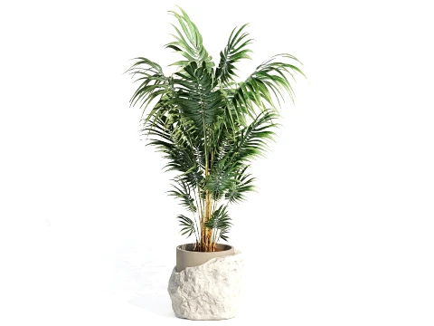 Piccolo decoro moderno in vaso in pietra bianco palma Howea per interni Modello 3D