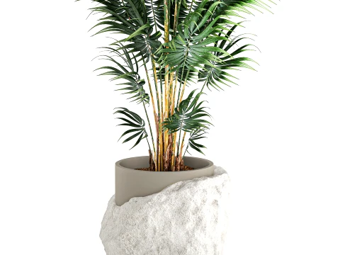 Small indoor Howea palm white modern stone pot decor 3D Model