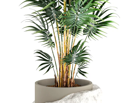 Small indoor Howea palm white modern stone pot decor 3D Model