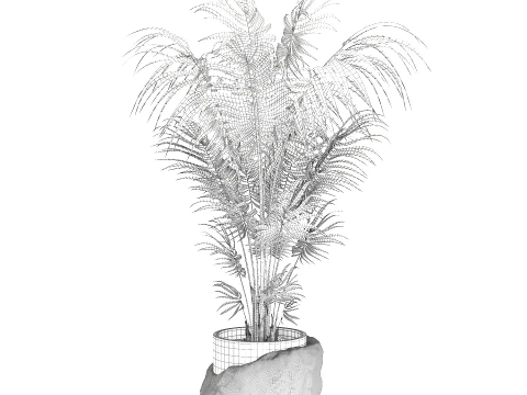 Small indoor Howea palm white modern stone pot decor 3D Model