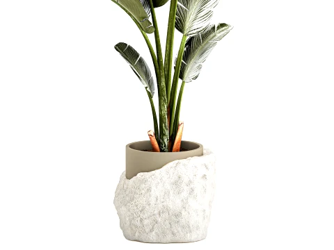 Small banana palm modern stone pot Strelitzia top decor 3D Model
