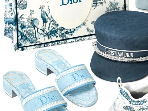 Chris tian Di or flip-flops sneakers bag cap shoes clothes 3D Model