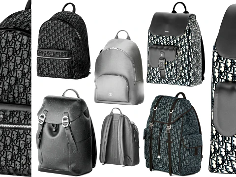 Set leather Accessories Bag Backpack Christian Di or bags 3D Model