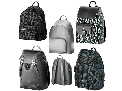 Set leather Accessories Bag Backpack Christian Di or bags 3D Model