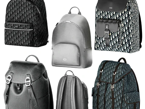 Set leather Accessories Bag Backpack Christian Di or bags 3D Model