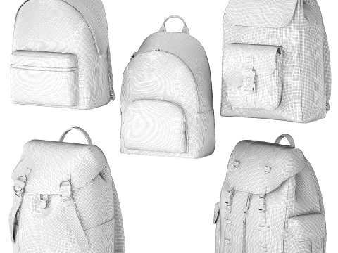 Set leather Accessories Bag Backpack Christian Di or bags 3D Model