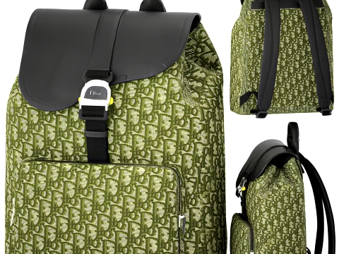 Green Accessories Bag Backpack Christian Di or Bag new 3D Model