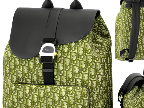 Green Accessories Bag Backpack Christian Di or Bag new 3D Model