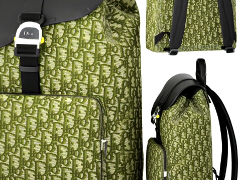 Green Accessories Bag Backpack Christian Di or Bag new 3D Model