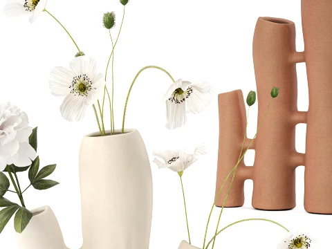 Minimalist Bouquet White Poppy Peony Italian Vases 3D Model