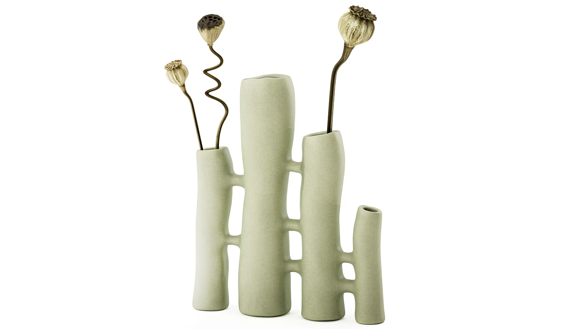 Minimalist Bouquet Dry Poppy Lotus Italian Vases decor new top 3D Model .c4d .max .obj .3ds .fbx .stl .blend