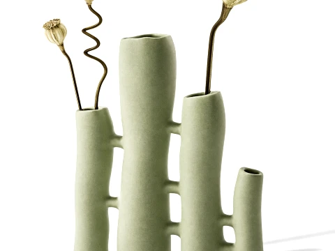 Minimalist Bouquet Dry Poppy Lotus Italian Vases decor new top 3D Model