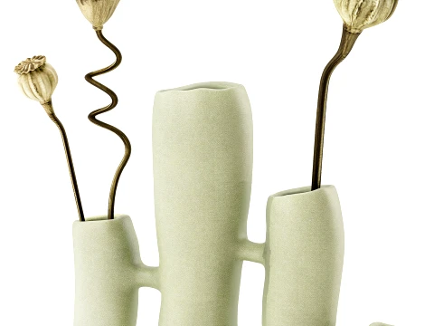Minimalist Bouquet Dry Poppy Lotus Italian Vases decor new top 3D Model