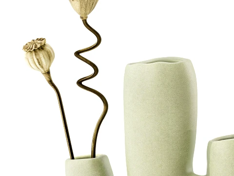 Minimalist Bouquet Dry Poppy Lotus Italian Vases decor new top 3D Model