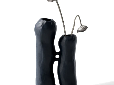 Minimalist Bouquet Dry Poppy Lotus Italian Vases 3D Model