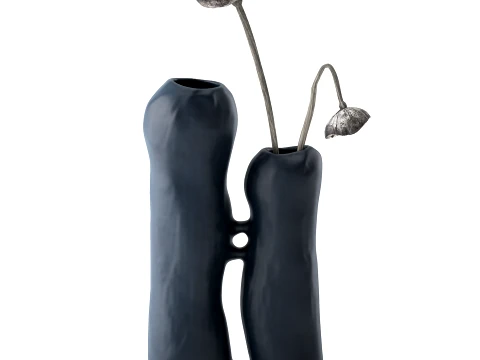 Minimalist Bouquet Dry Poppy Lotus Italian Vases 3D Model