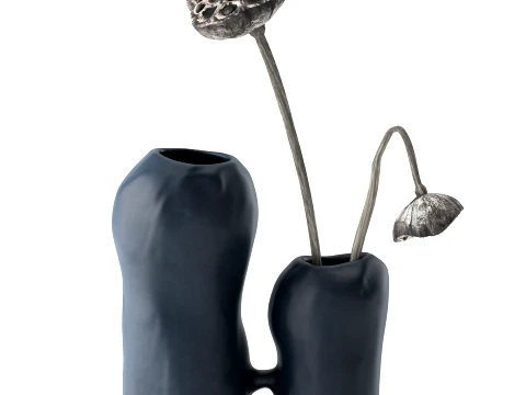 Minimalist Bouquet Dry Poppy Lotus Italian Vases 3D Model