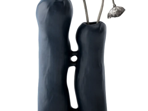Minimalist Bouquet Dry Poppy Lotus Italian Vases 3D Model
