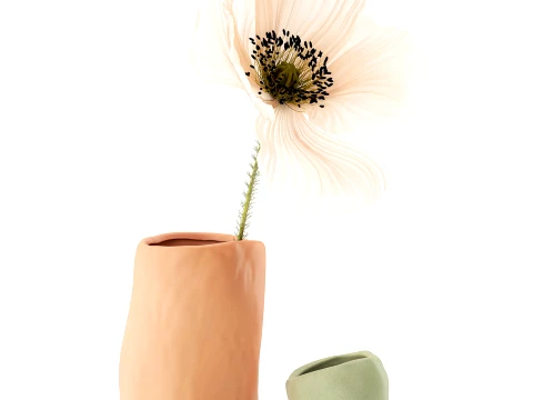 Minimalist bouquet white poppy peony Italian vases decor set 3D Model