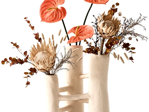 Herbststrau&szlig; Trockenblumen Protea Anthurium Vase 3D Modell