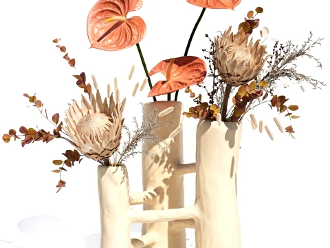 Autumn bouquet dried flowers Protea Anthurium vase 3D Model