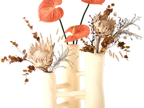 Autumn bouquet dried flowers Protea Anthurium vase 3D Model