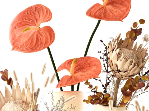 Autumn bouquet dried flowers Protea Anthurium vase 3D Model