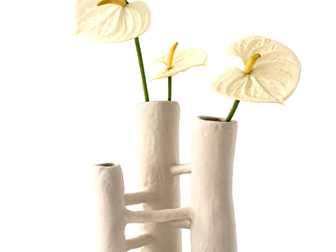 Minimalistischer Blumenstrau&szlig; aus wei&szlig;en Blumen, Anthurium-Vasendekor 3D Modell