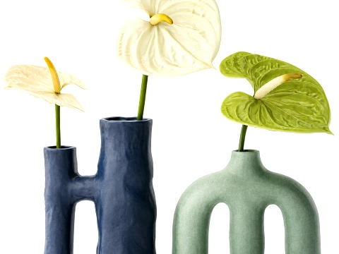 Ramo Minimalista de Flores Blancas Jarr&oacute;n Anthurium Modelo 3D