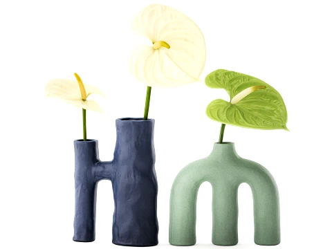 Minimalist Bouquet of White Flowers Anthurium Vase 3D Model