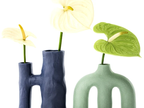 Minimalist Bouquet of White Flowers Anthurium Vase 3D Model