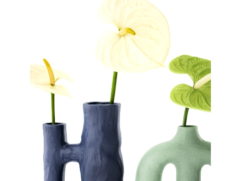 Minimalist Bouquet of White Flowers Anthurium Vase 3D Model