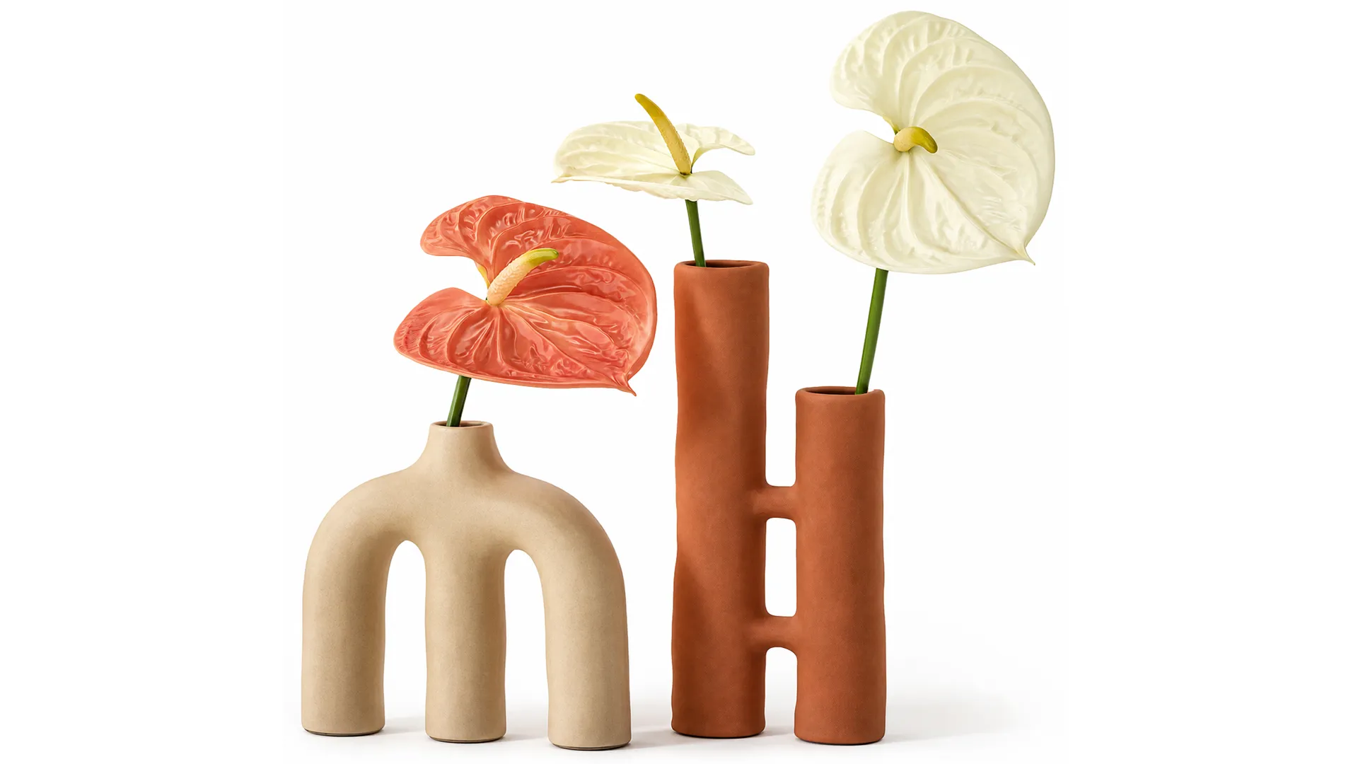 Minimalist Bouquet of White Flowers Anthurium Vase 3D Model .c4d .max .obj .3ds .fbx .stl .blend 