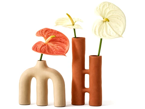 Ramo Minimalista de Flores Blancas Jarr&oacute;n Anthurium Modelo 3D