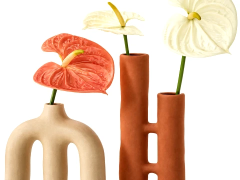 Minimalist Bouquet of White Flowers Anthurium Vase 3D Model