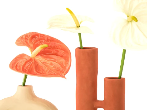 Minimalist Bouquet of White Flowers Anthurium Vase 3D Model