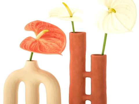 Minimalist Bouquet of White Flowers Anthurium Vase 3D Model