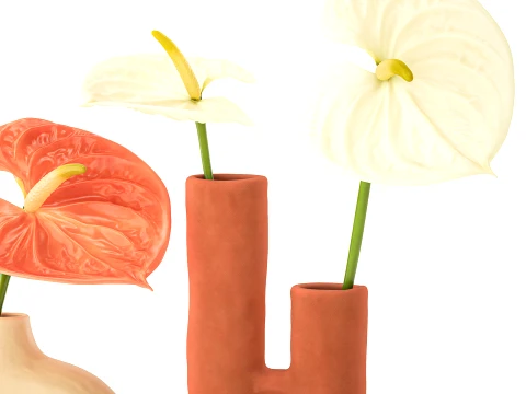 Minimalist Bouquet of White Flowers Anthurium Vase 3D Model