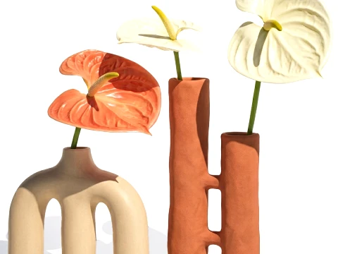 Minimalist Bouquet of White Flowers Anthurium Vase 3D Model