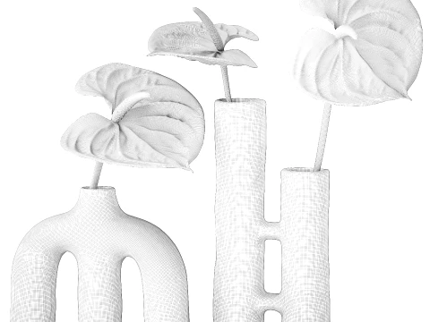 Minimalist Bouquet of White Flowers Anthurium Vase 3D Model