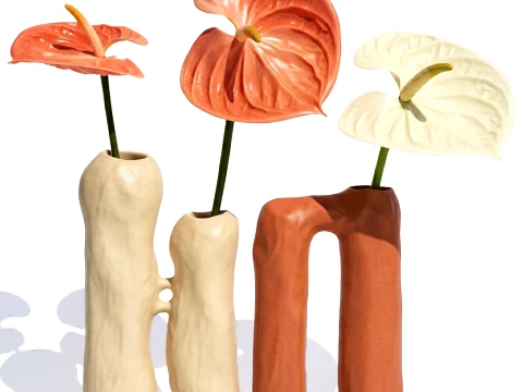 Minimalist Bouquet of White Flowers Anthurium Vase decor set 3D Model